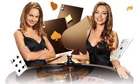 Pragmatic Play live dealer table interface on kayabola login mobile app